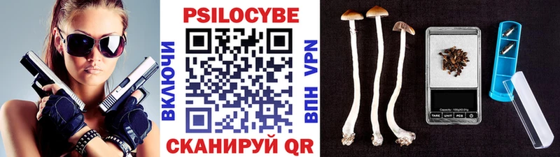 Псилоцибиновые грибы Psilocybe  Бокситогорск 